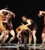 hofesh shechter