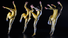 barbarians - HOFESH SHECHTER COMPANY