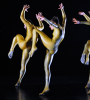 barbarians - HOFESH SHECHTER COMPANY